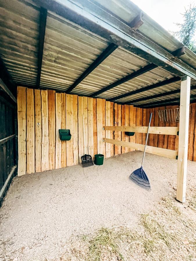 Wunderschoenes Chalet Mit Gaestehaus In Der Natur Mit Fass-Sauna Sangerhausen Ngoại thất bức ảnh