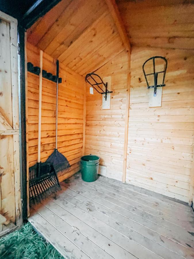 Wunderschoenes Chalet Mit Gaestehaus In Der Natur Mit Fass-Sauna Sangerhausen Ngoại thất bức ảnh